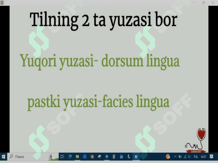 Tilning funksiyalari 4