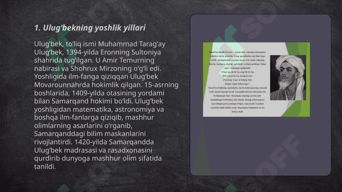 Mirzo Ulug'bek 3