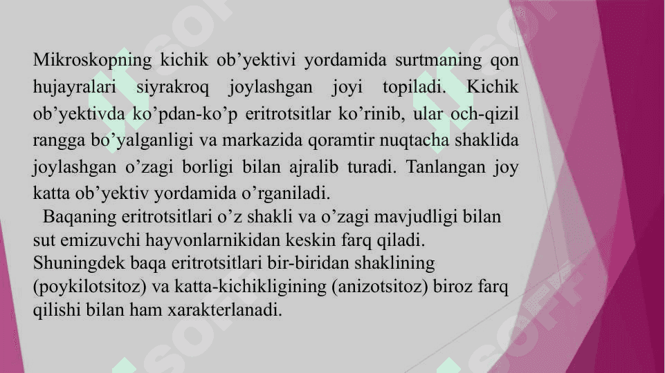 Hujayraning morfogistologiyasi va hujayralarning bo'linishi. 2