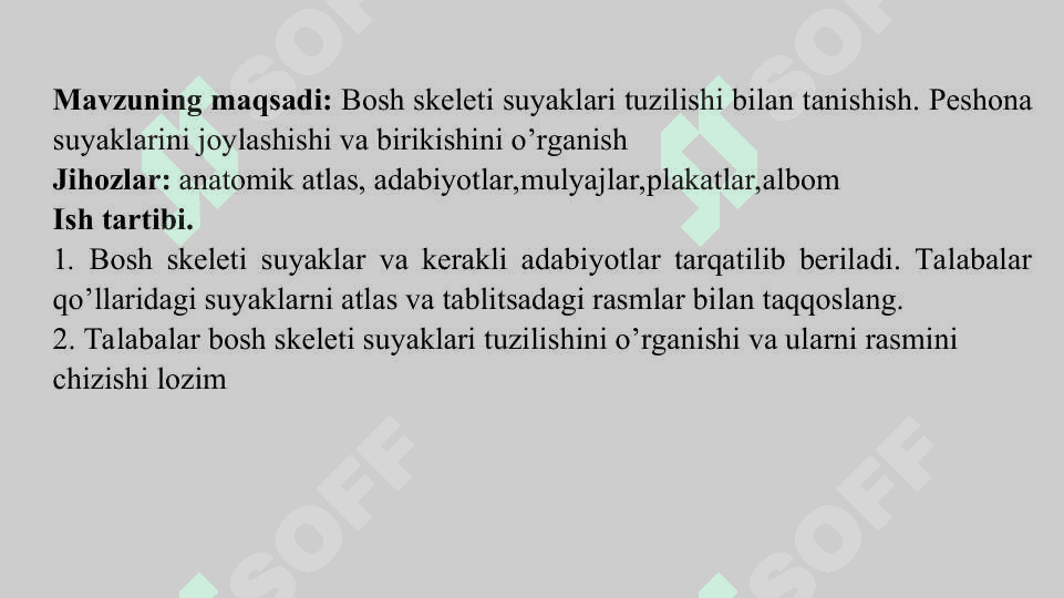 Bosh skeleti – peshona suyagi tuzilishi 2