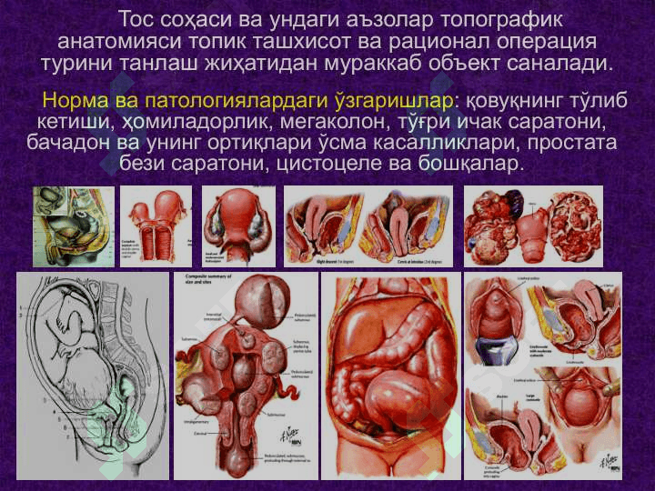 Тос соҳаси клиник анатомияси.             Тос бўшлиғи аъзоларидаги асосий операциялар. 4