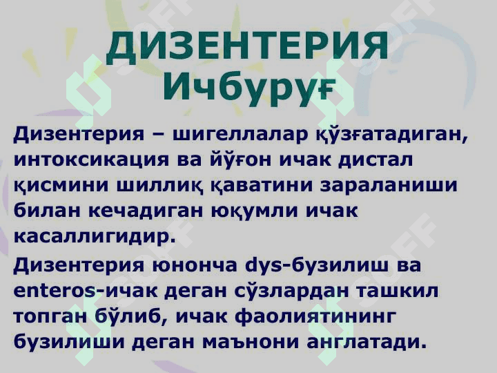 ДИЗЕНТЕРИЯ (Ичбуруғ) 2
