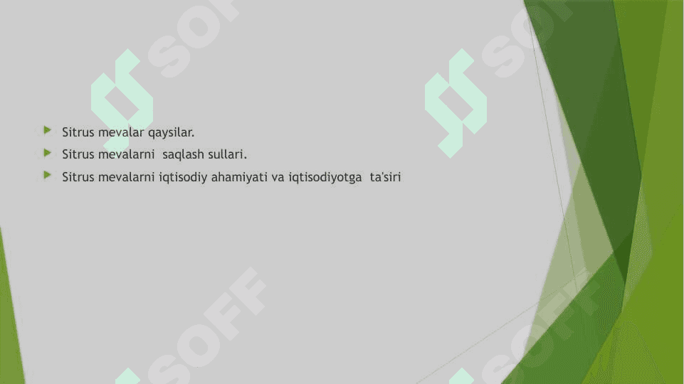 Sitrus mevalarni saqlash 2