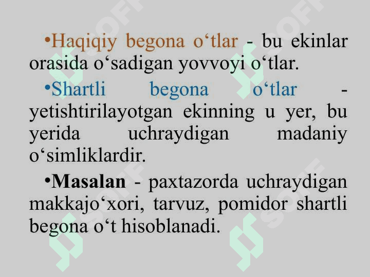BЕGONA  O‘TLAR  HAQIDA TUSHUNCHA,  ULARNING  ZARARI  VA BIOLOGIK  XUSUSIYATLARI 3