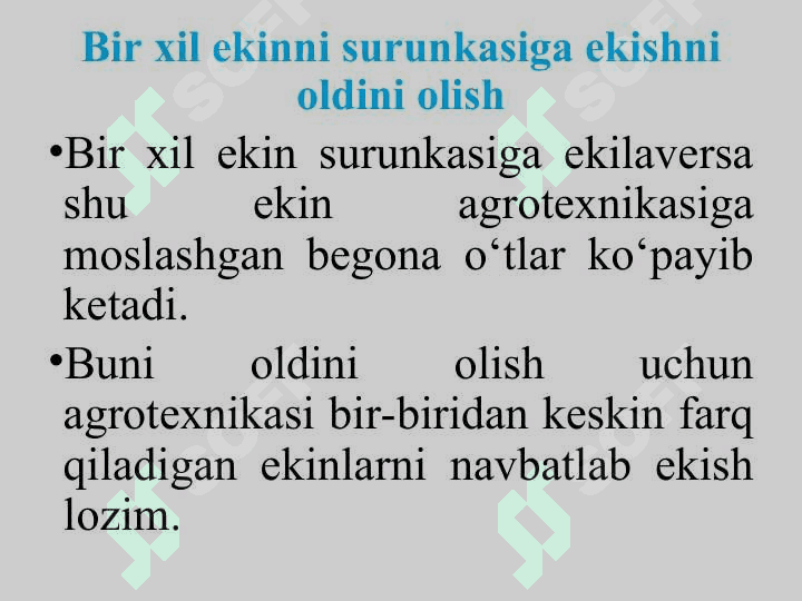 BЕGONA O‘TLARGA QARSHI KURASH CHORALARI 8