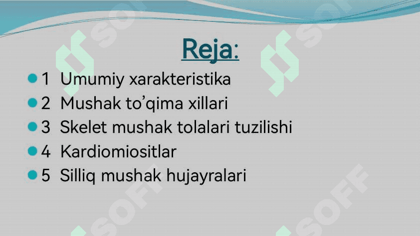 Mushak to’qimasi 2