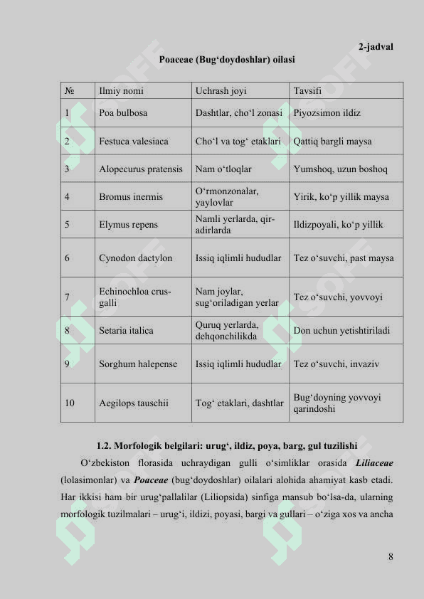 Bir urug‘pallalilar sinfi. Asosiy vakillari. Ahamiyati 8