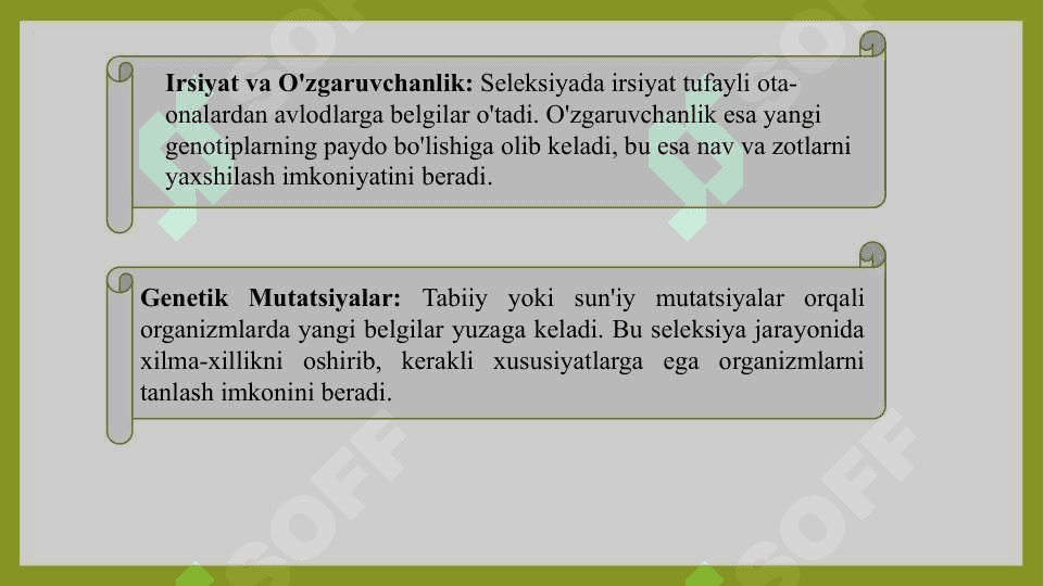 Seleksiyaning genetik asoslari SLAYD 4