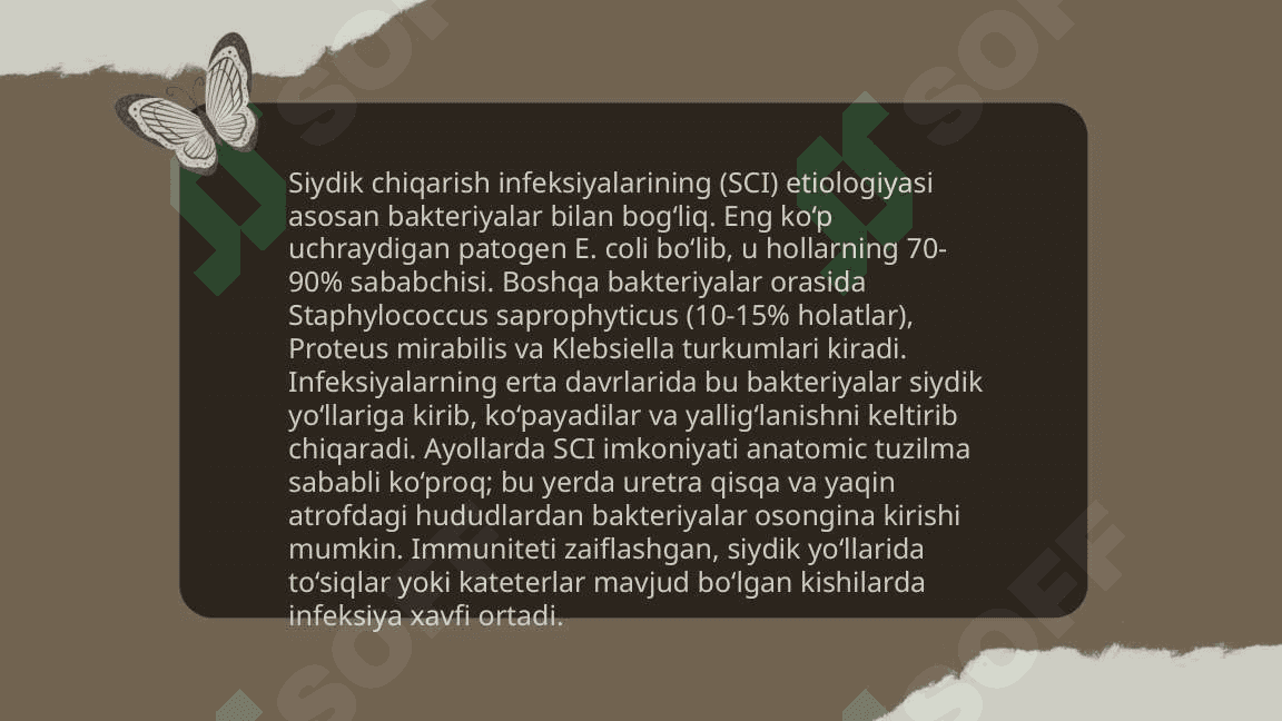 Siydik chiqarish infeksiyasi, etiologiya, patogenezi, klinika, diagnostika, davolash 4