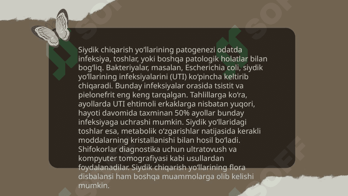 Siydik chiqarish infeksiyasi, etiologiya, patogenezi, klinika, diagnostika, davolash 7