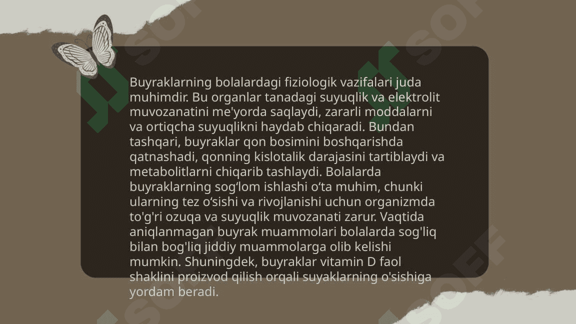 Bolalarda buyraklar anatomo fiziologik xususiyatlari 4
