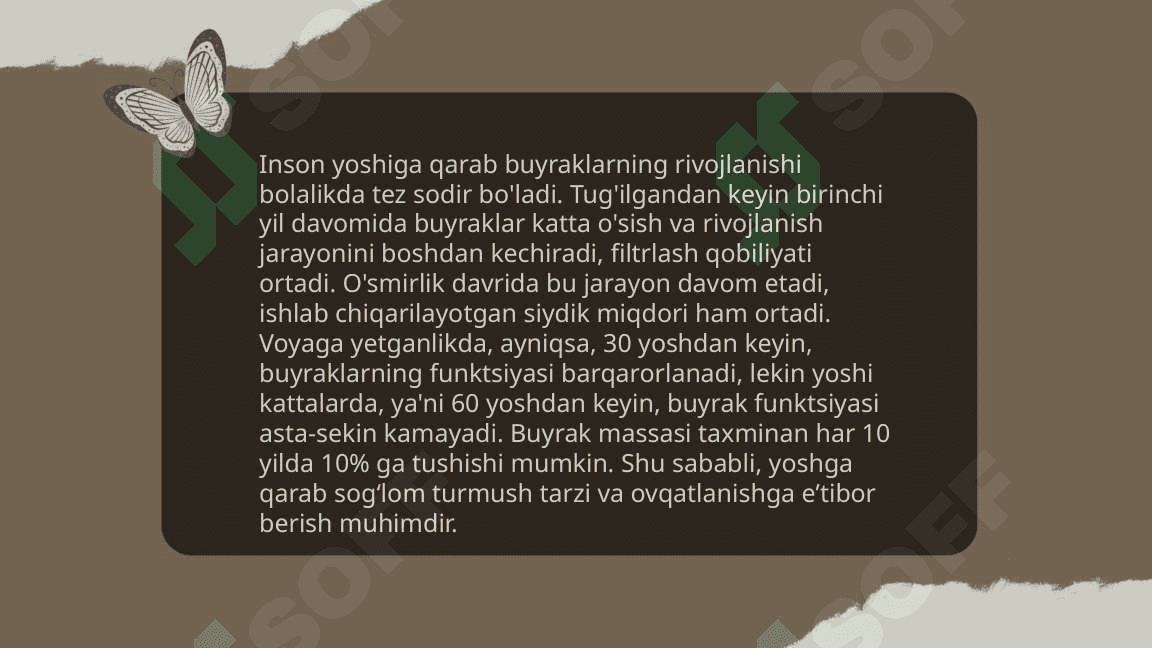 Bolalarda buyraklar anatomo fiziologik xususiyatlari 5