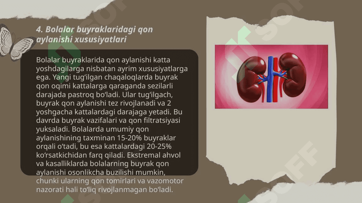Bolalarda buyraklar anatomo fiziologik xususiyatlari 6
