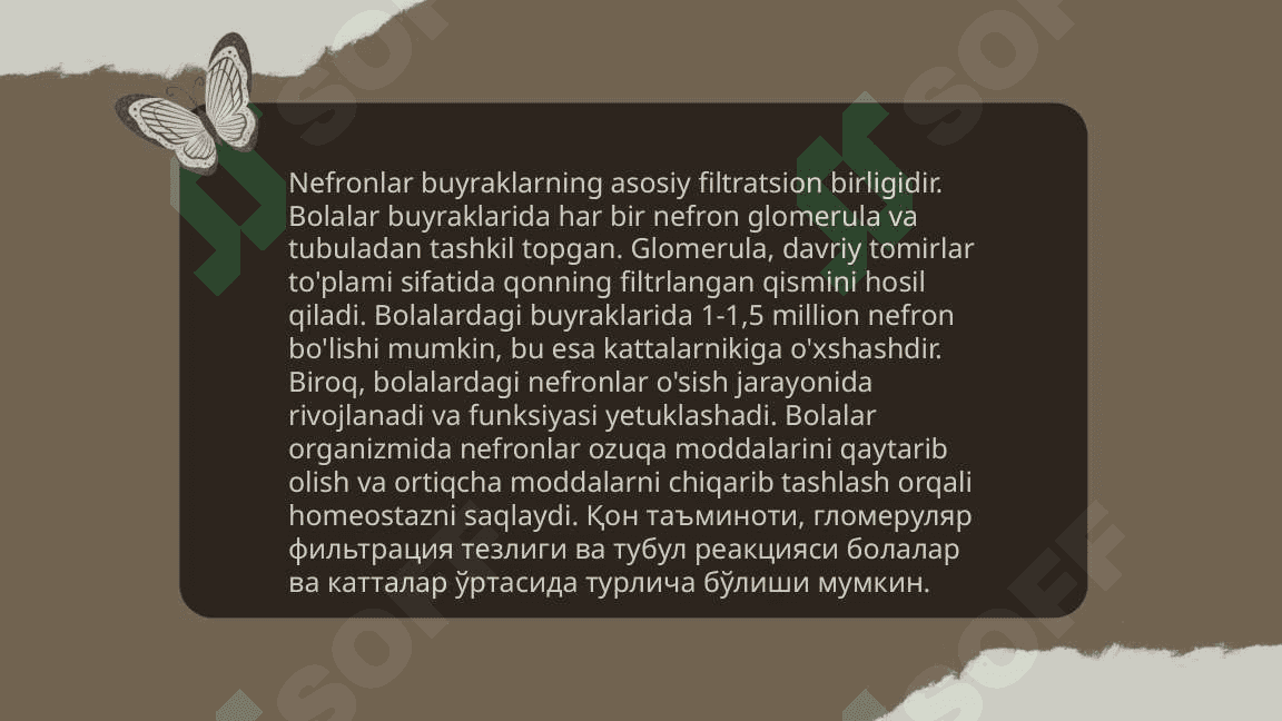 Bolalarda buyraklar anatomo fiziologik xususiyatlari 7