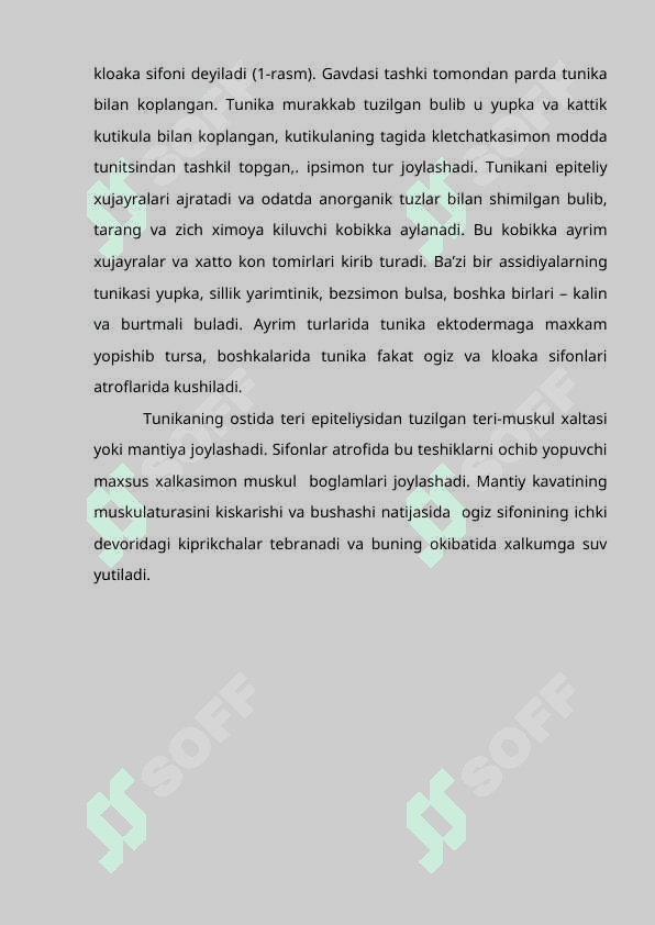 Lichinkali xordalilarning kelib chiqish haqidagi   olimlarning qarashlari 4