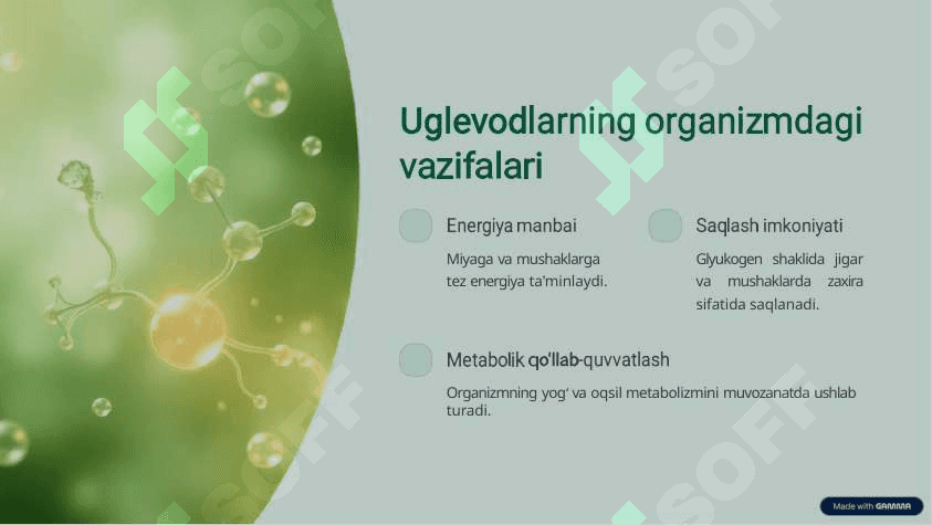 Uglevodlar energiya manbayi va hayot asosi 4