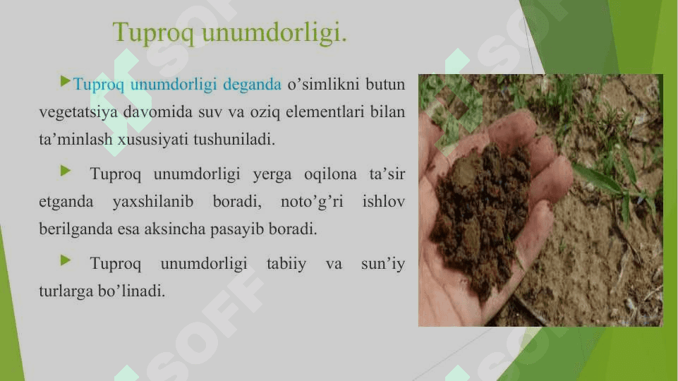 TUPROQ UNUMDORLIGI MАDАNIYLIGI VАUNING AGROFIZIK XOSSALARI 2