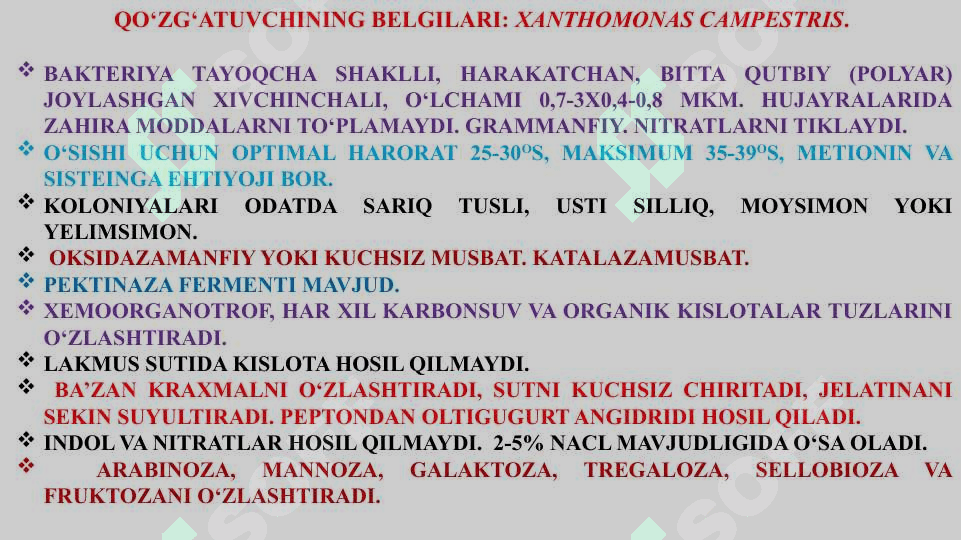 POMIDOR VA KARTOSHKANING BAKTETIYALI KASALLIKLARI VA ULARGA QARSHI KURASH CHOTALARI 6