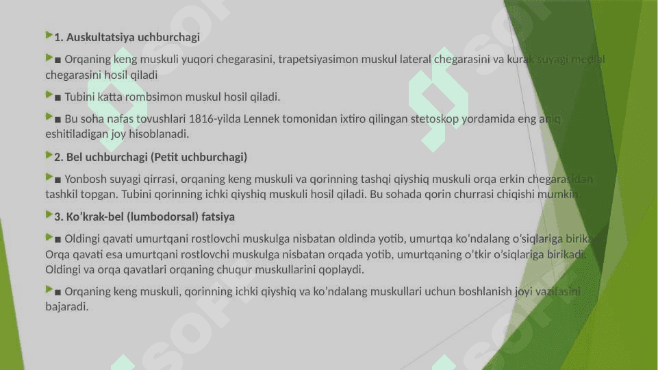 Orqaning yuzaki muskullari va ularning anatomik tuzilishi 2