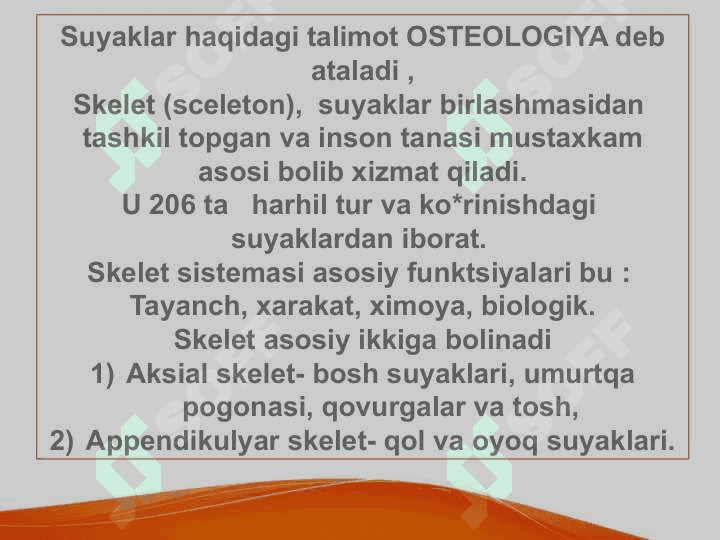 UMURTQA POG’ONASI ANATOMIK TUZULISHIVA FUNKSIYASI 2