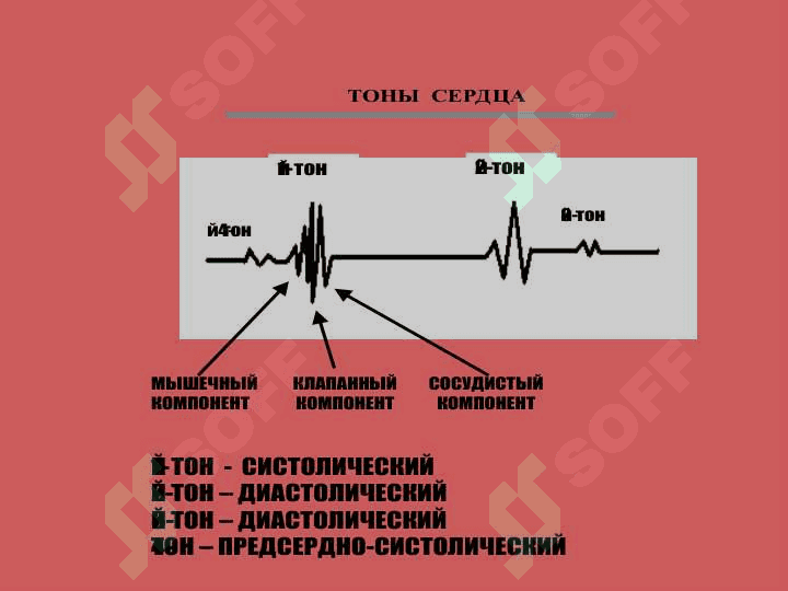 Юрак фаолиятининг ташқи кўринишлари 8
