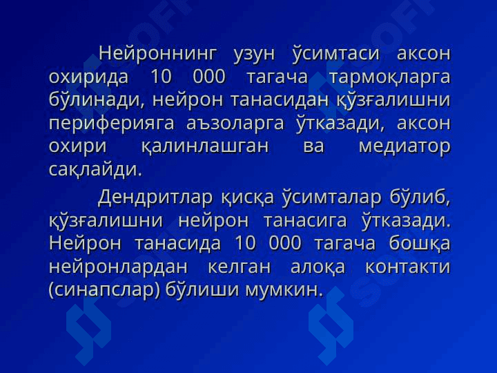 Нерв толаси ва синапслар 6