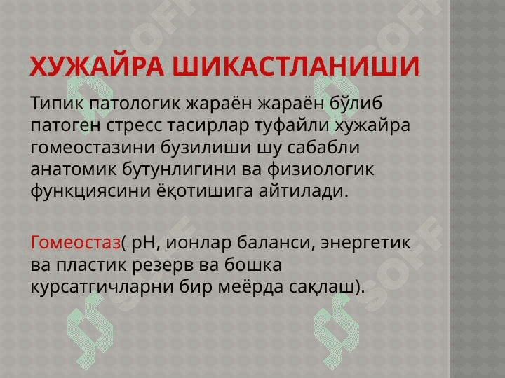 Хужайра шикастланиши 3
