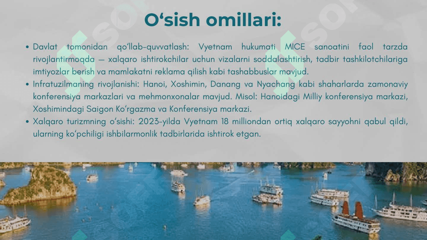 Vetnam mice turizm 3