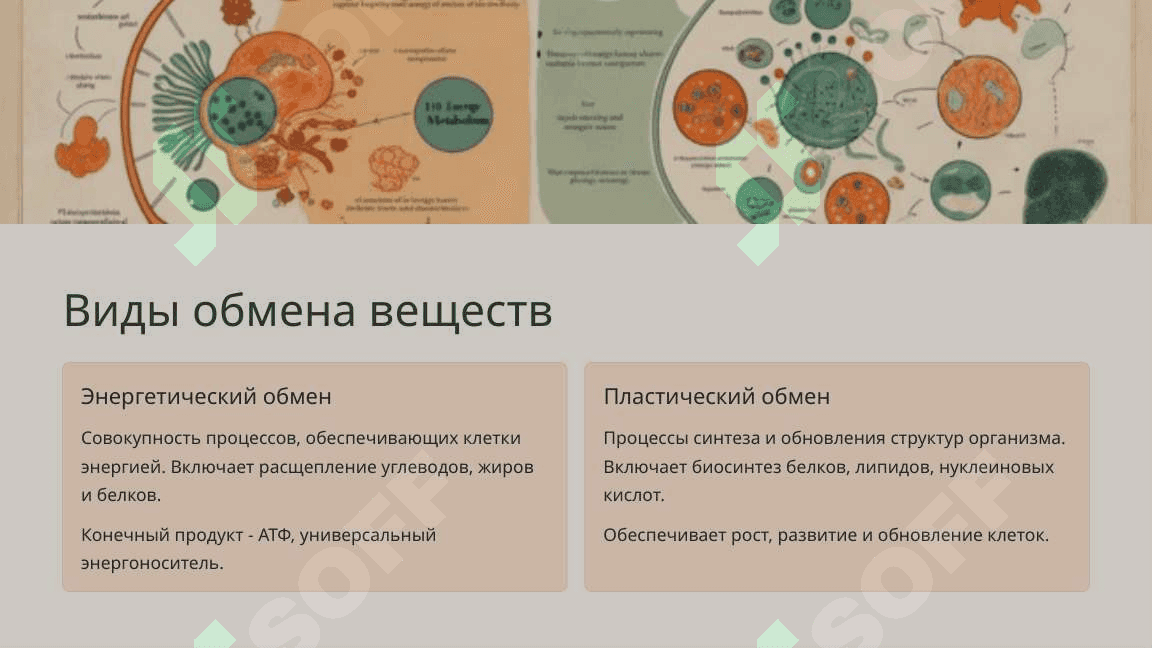 Образование и расход энергии в процессе обмена веществ 3