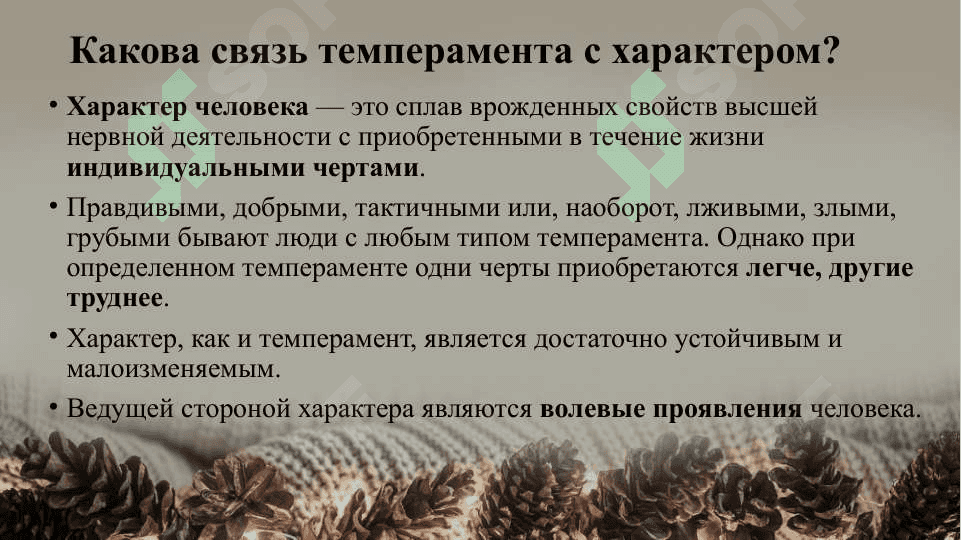 Характер 8