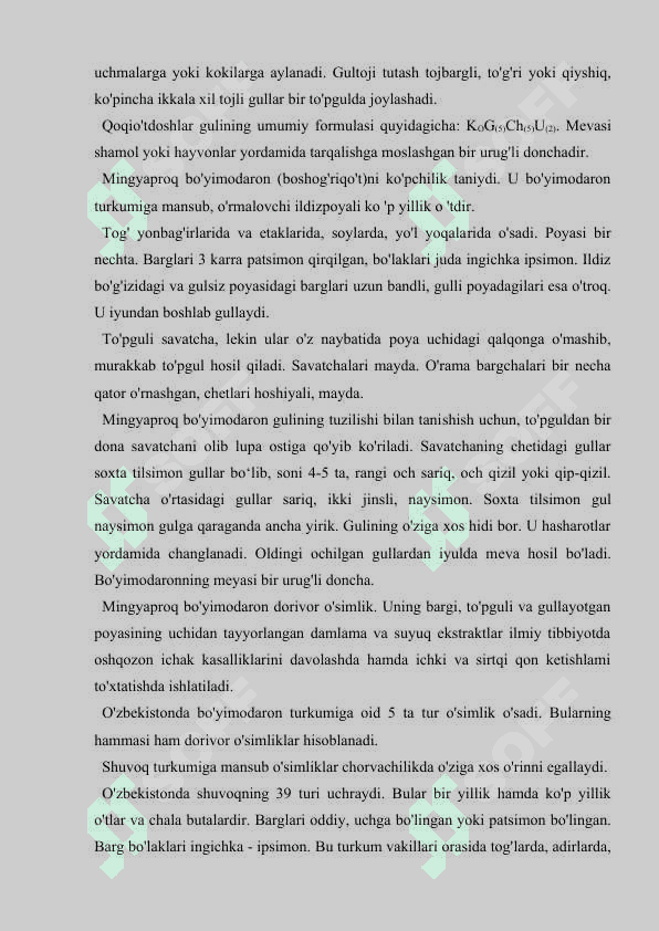 QOQIO'TDOSHLAR (ASTERACEAE) OILASI 5