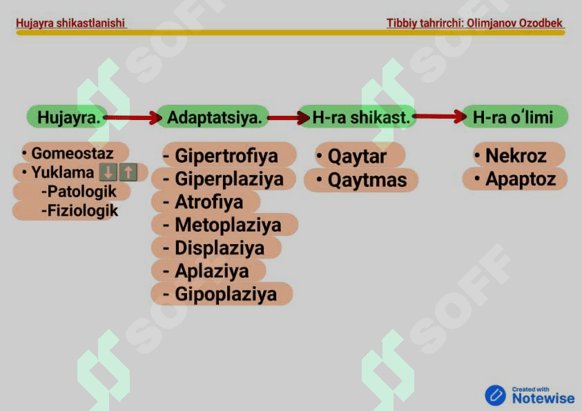 Hujayra shikastlanishi pdf 2