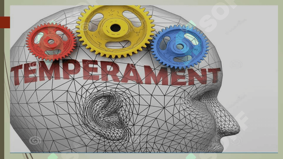 TEMPERAMENT. XARAKTER. QOBILIYAT VA IQTIDOR 2