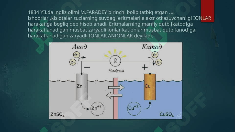 Nooganik ionlar ularning funksiyalari 2