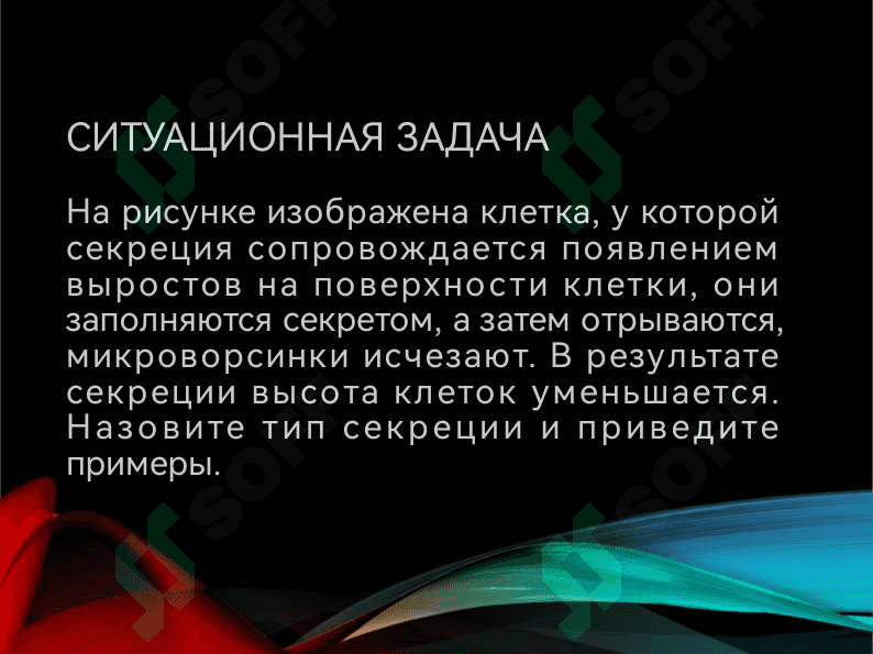 УЧЕНИЕ О ТКАНЯХ   ЭПИТЕЛИАЛЬНЫЕ  ТКАНИ 5