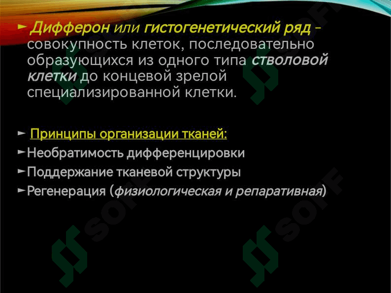 УЧЕНИЕ О ТКАНЯХ   ЭПИТЕЛИАЛЬНЫЕ  ТКАНИ 7