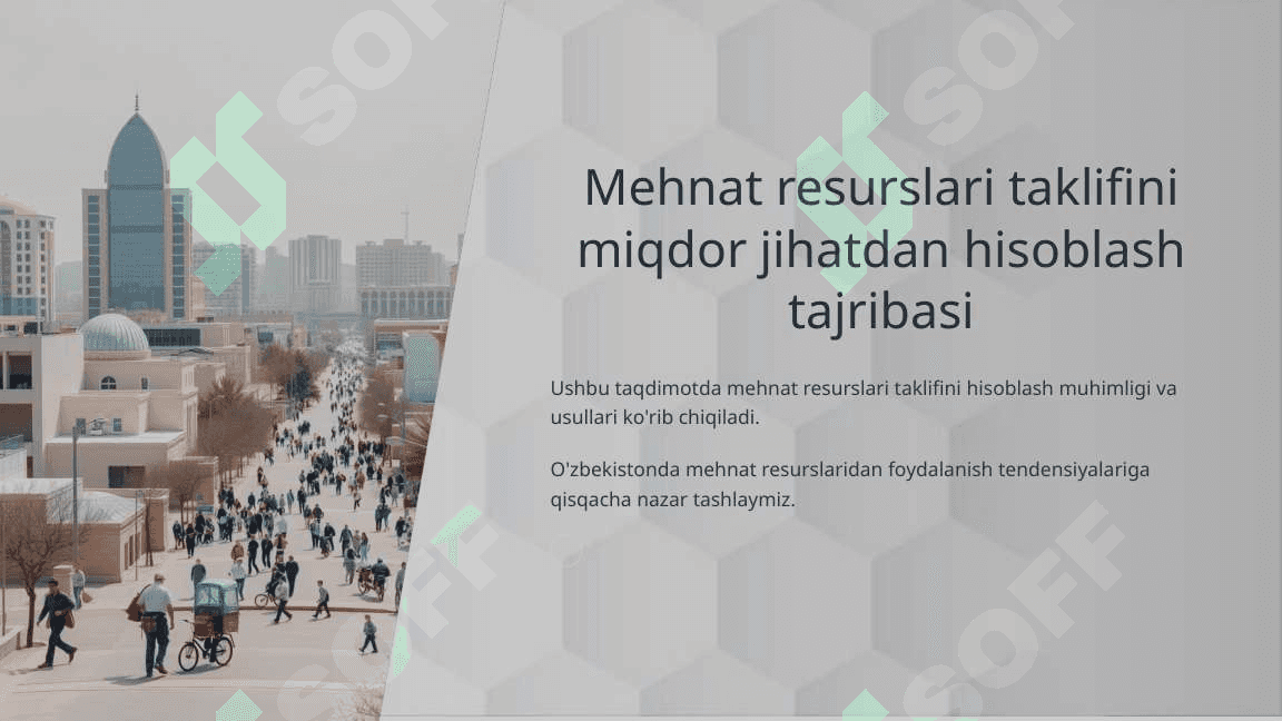 Mehnat resurslari taklifini miqdor jihatdan hisoblash tajribasi 2