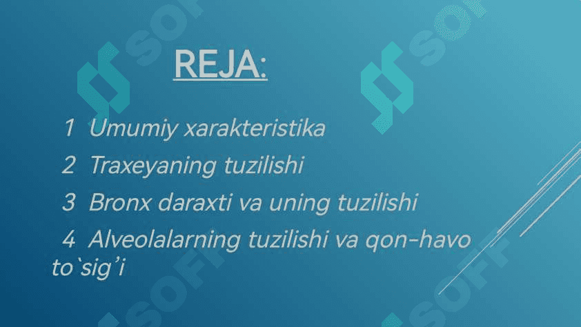 Nafas olish sistemasi 2