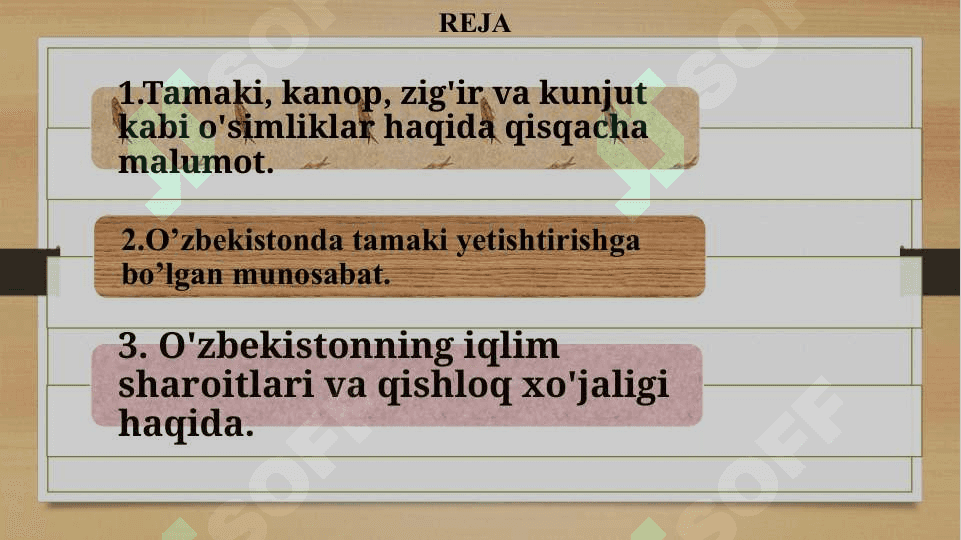 O’zbekistonda tamaki,kanop, zig’ir va kunjut yetishtirish xususiyatlari 2