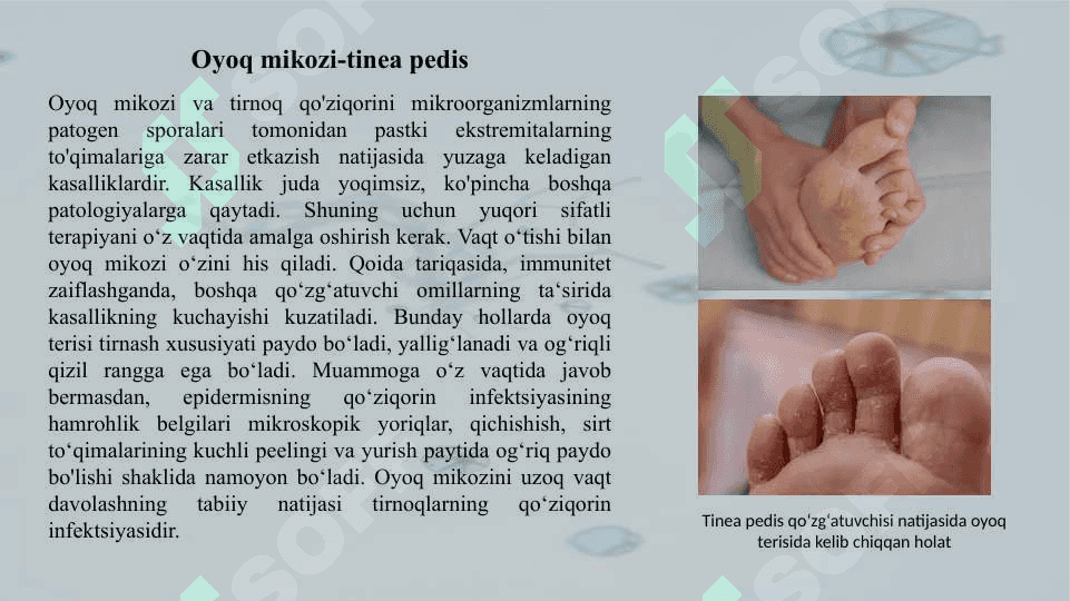 Zamburugʼli kasalliklar, patogenezi va laboratoriya tashhisi 6