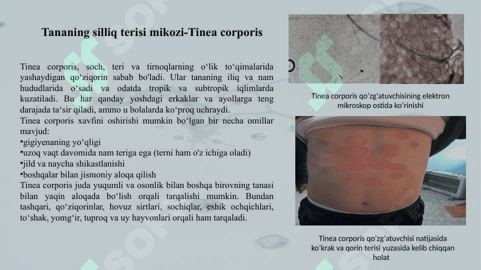 Zamburugʼli kasalliklar, patogenezi va laboratoriya tashhisi 7
