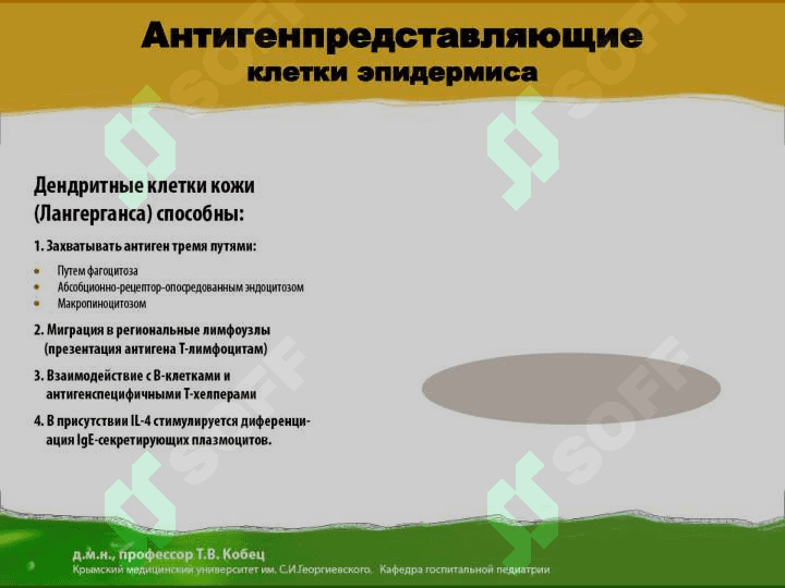 Атопический дерматит 6