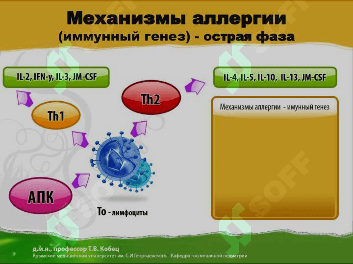 Атопический дерматит 7