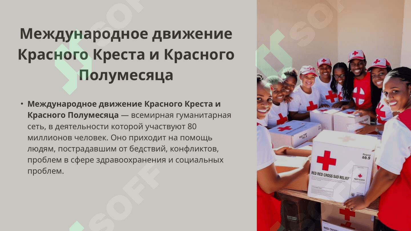 Общество Красного Креста и Полумесяца. 3