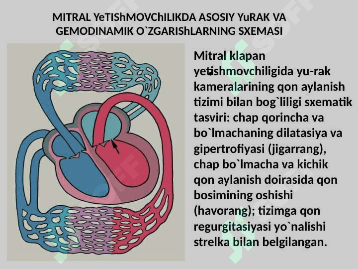 Yurakning mitral va aortal klapan yetishmovchiliklari 7