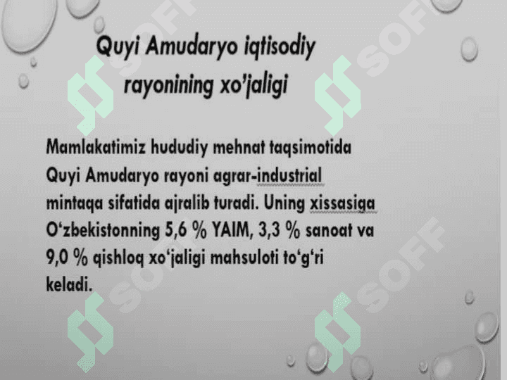 Quyi Amudaryo iqtisodiy rayoni. Xorazm viloyati 5