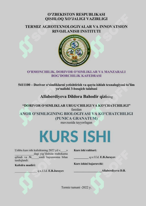 KURS ISHI YUZI OBLOSHKA HISOBOT YUZI DIPLOM ISHI YUZI 8