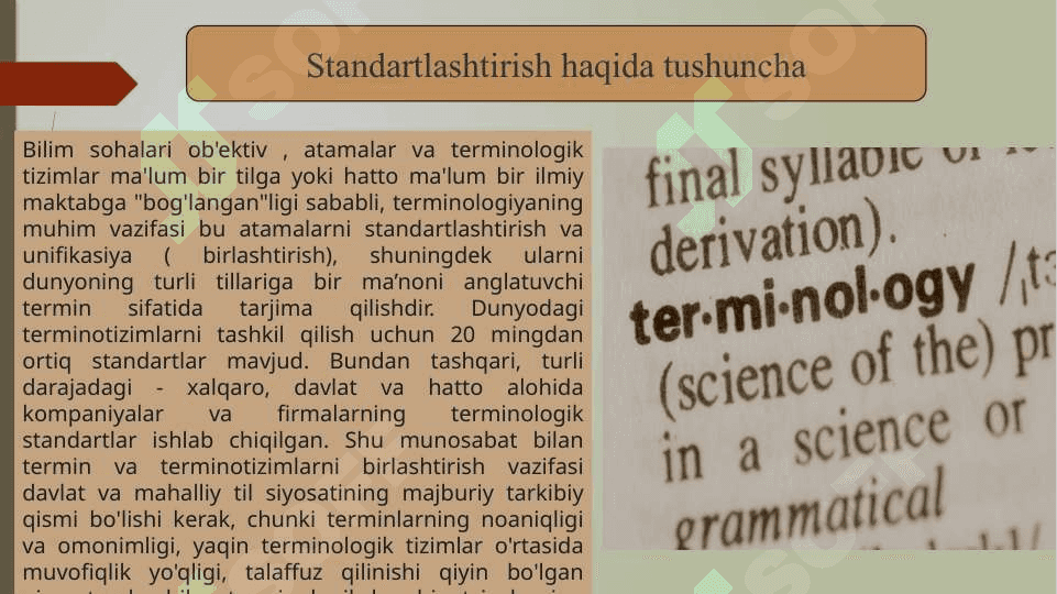 Soha terminologiyasini tartibga solishning lingvistik asoslari 3