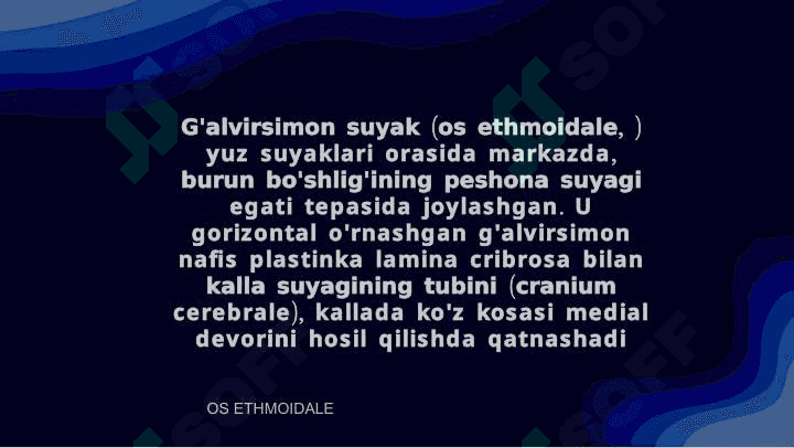 G'alvirsimon suyaklar 2