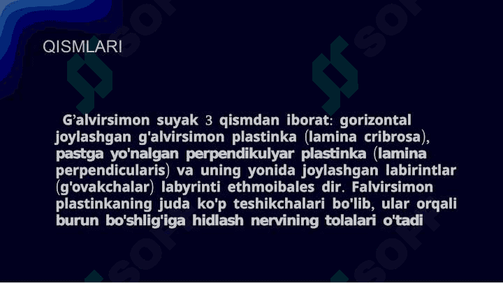 G'alvirsimon suyaklar 3